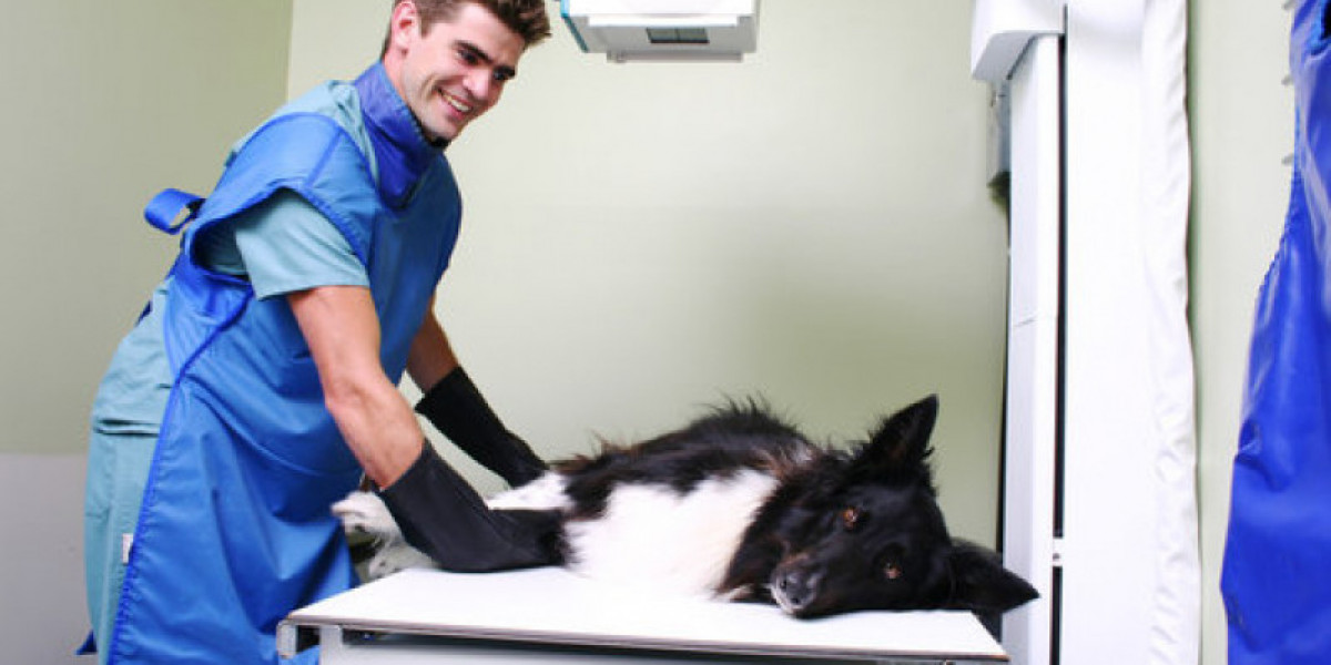 How Much Does a Vet Visit Cost? Average Pricing By Procedure